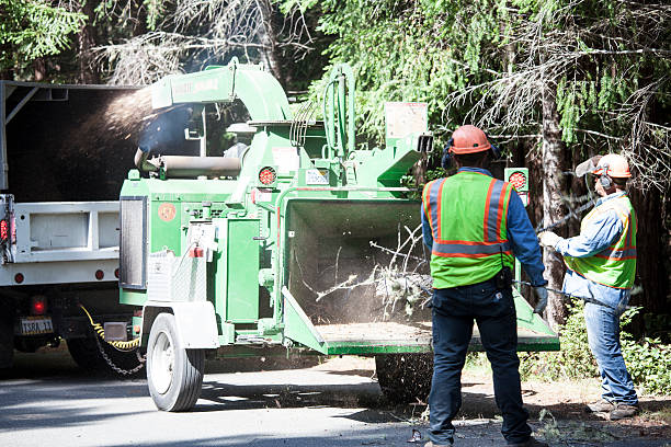 Best Lawn Watering Services  in Salida Del Sol Estates, TX